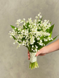 BD07-Lily of the Valley