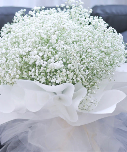 FT133-White Baby's Breath