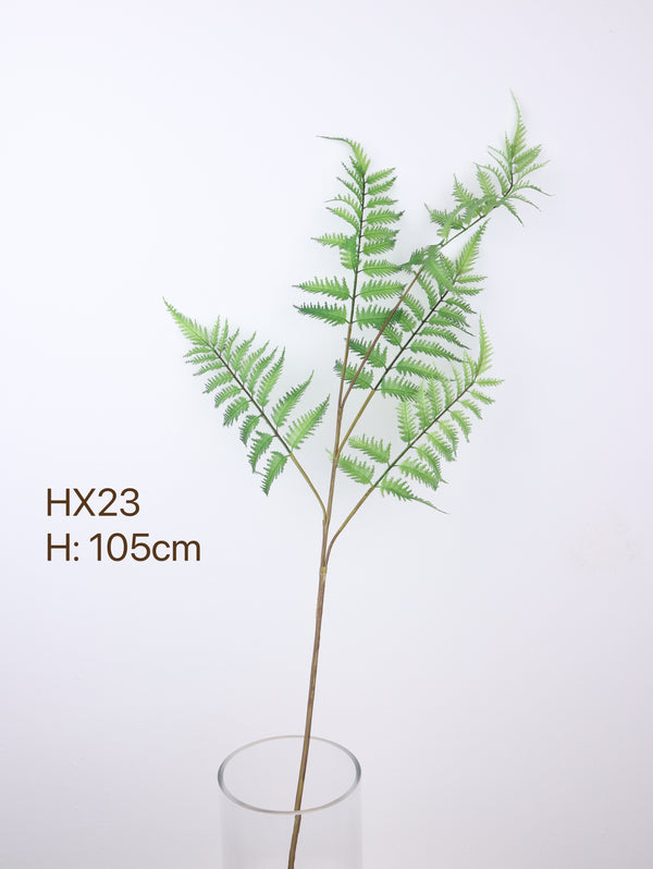 buy fern plants with 105cm 