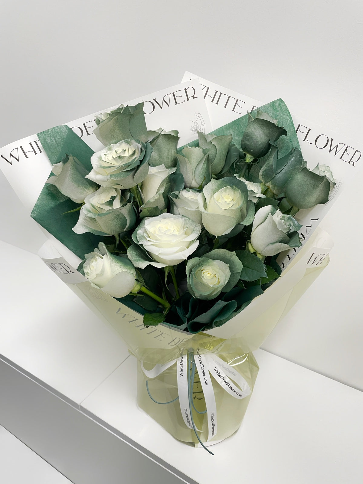 kenya scotland green rose in singapur