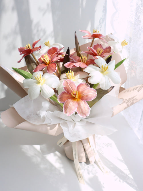 shop holland brownie tulip with white