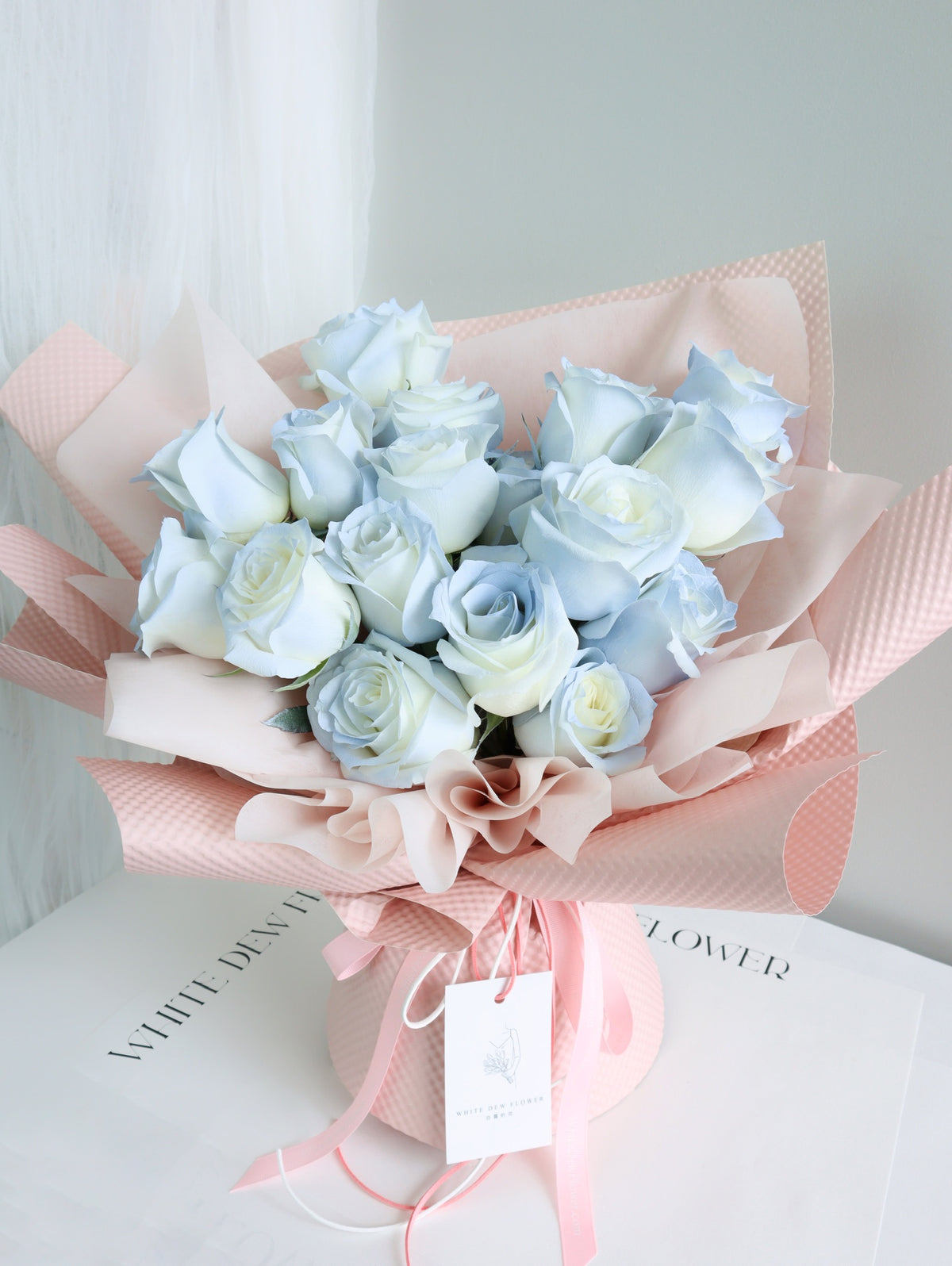 where to buy kenya moonlight blue rose in singapur