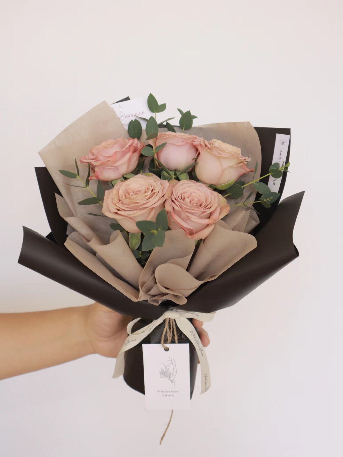 buy fresh cappuccino rose