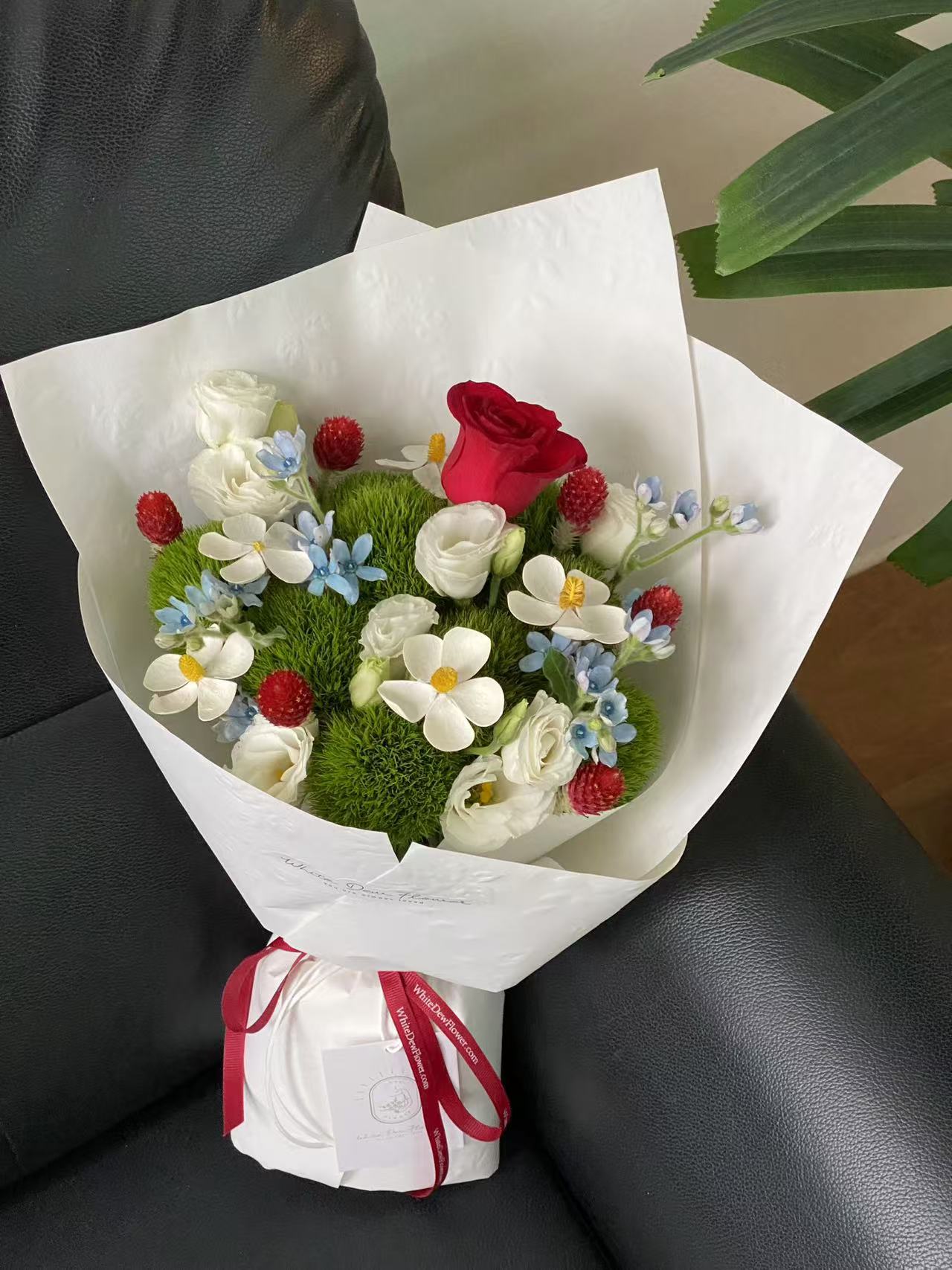 New Collection – White Dew Flower