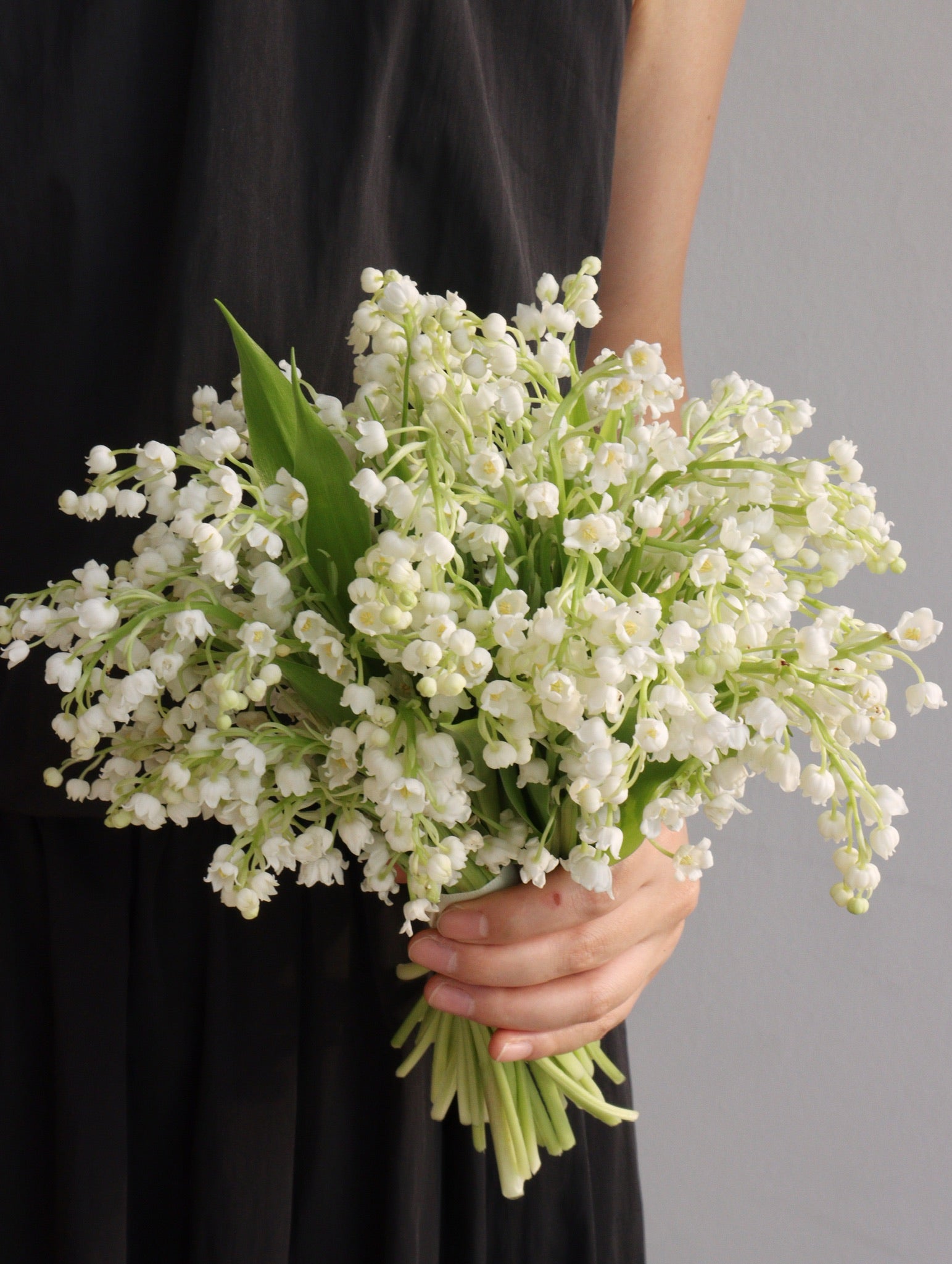 Embrace The Beauty Of Lily of the Valley Bridal Bouquet And Fast