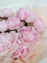FT49-10 Pink Holland Peony Bouquet