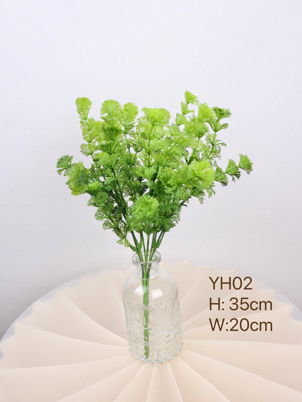 shop parsley herb plant