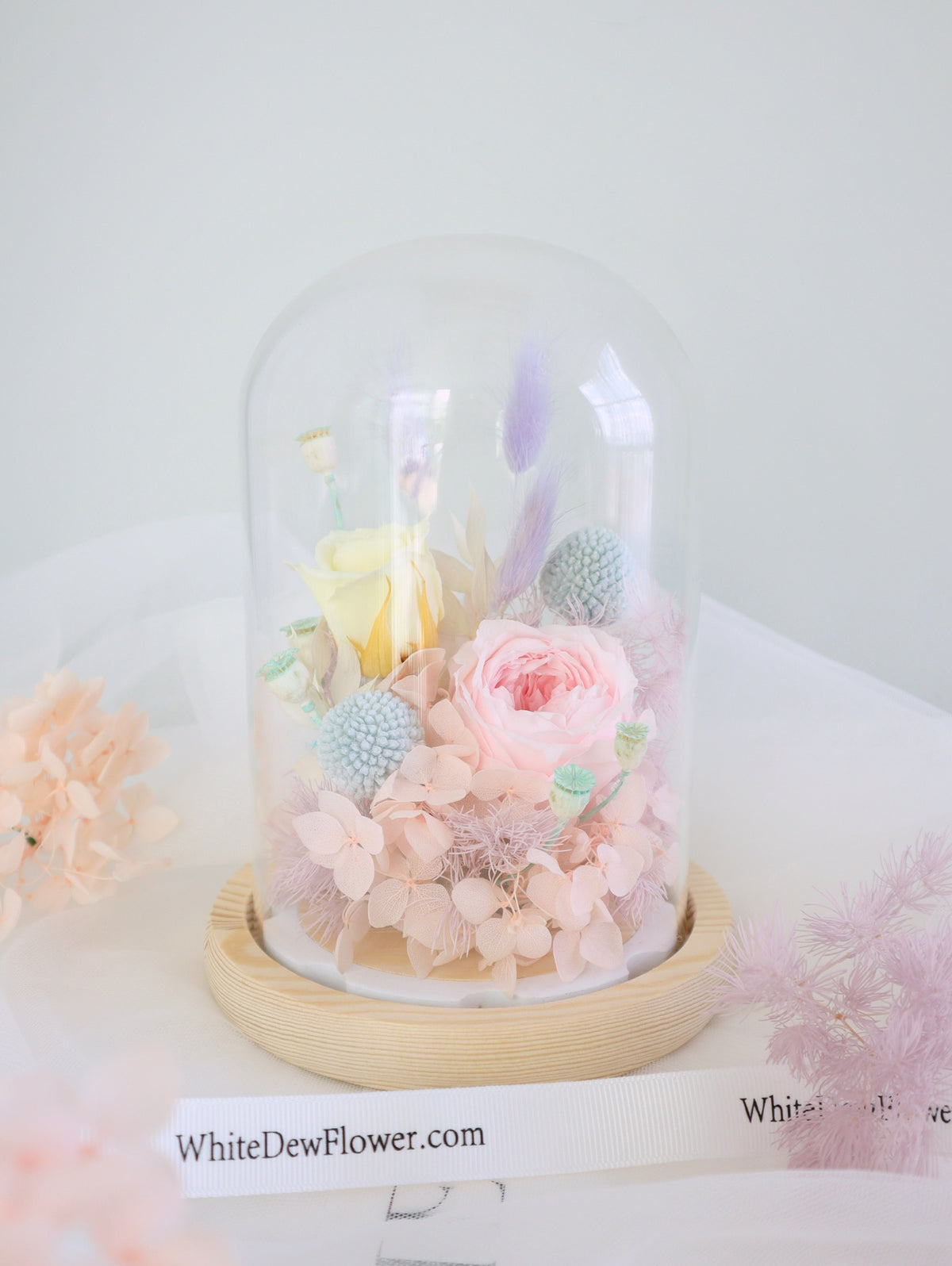 PT11-Preserved Candy Rose Dome