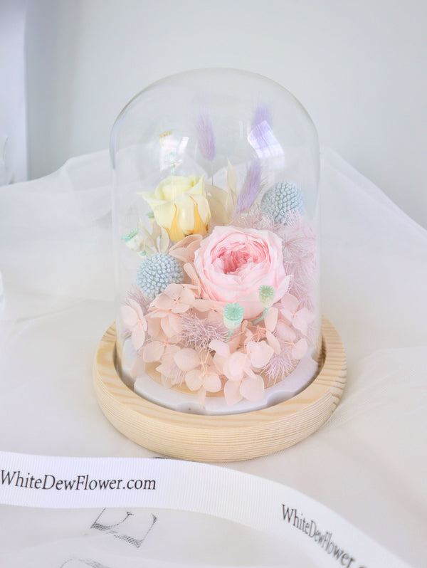 shop candy rose dome