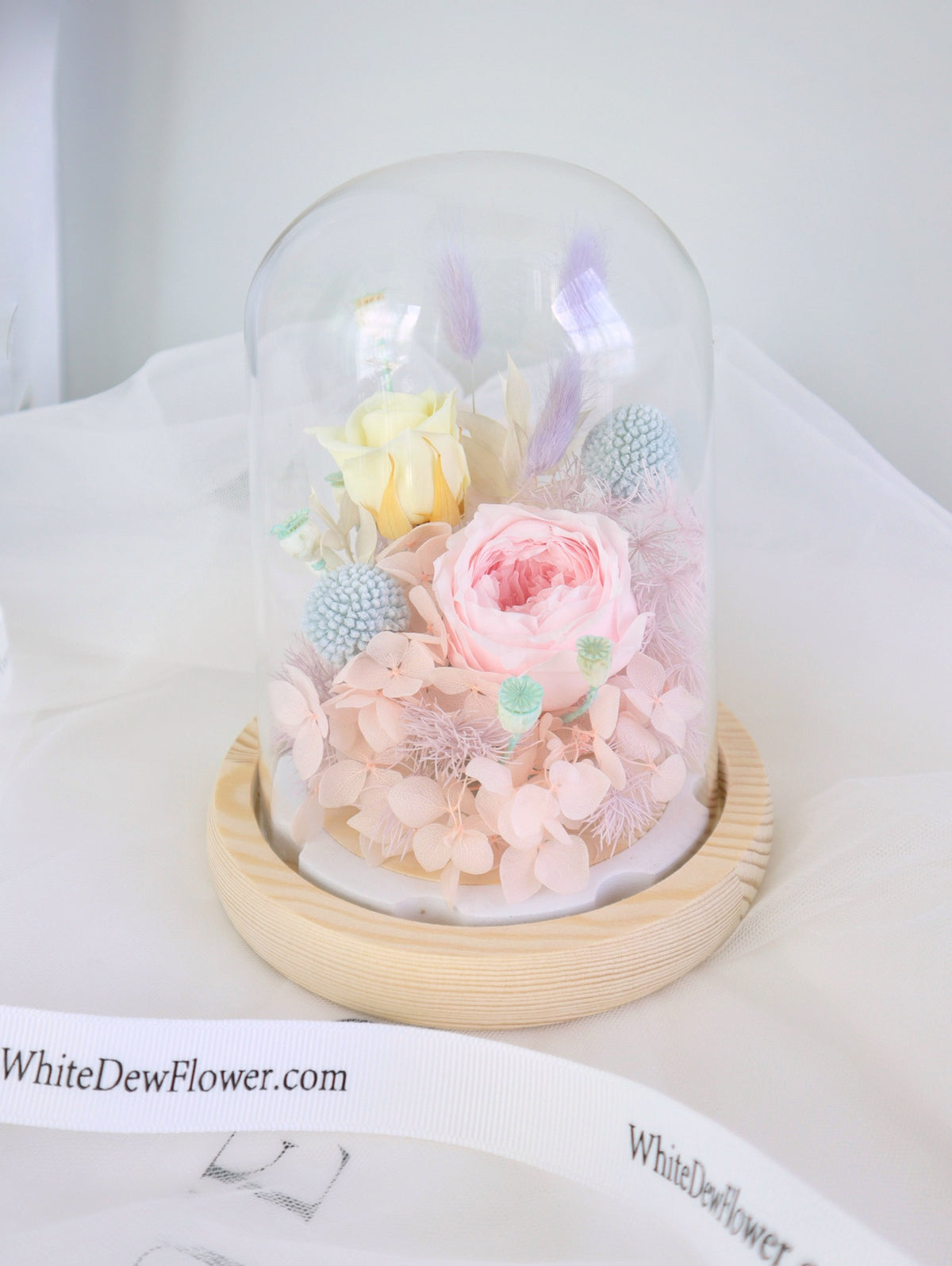 shop candy rose dome