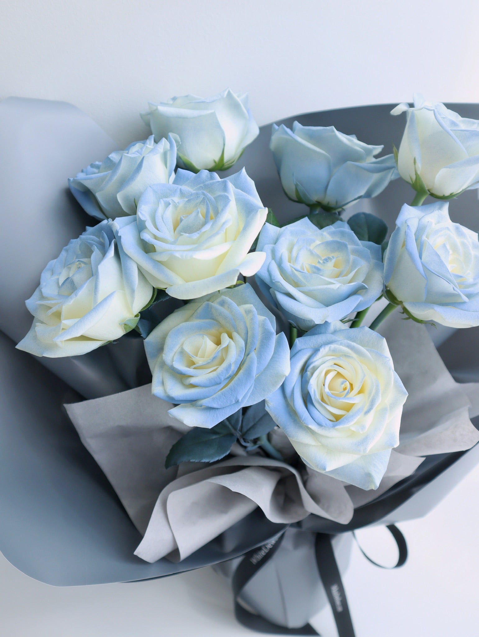 バレエ typeW grateful/checked flower smoke blue バレエ typeW grateful/checked flower smoke blue Organic Blue